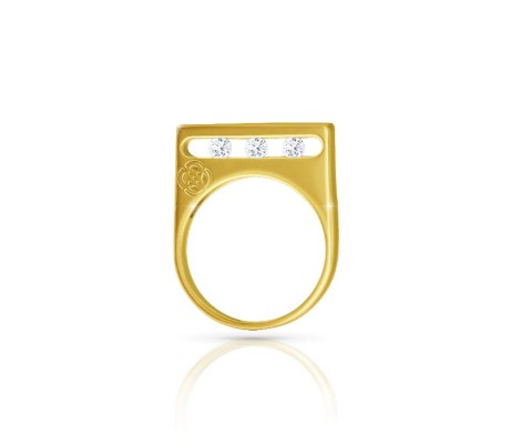 Air Borne Gold Ring / Eagle Steel Ring / Gold Signet Ring for Men / Gold  XXL Ring Golden Eagle - Etsy